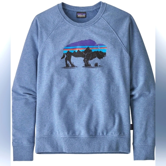 Patagonia Fitz Roy Bison Ahnya Crew Sweatshirt Sweater Top Men Large Or Women XL